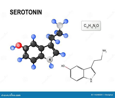 Fórmula Química Y Modelo Estructurales De La Molécula De La Serotonina Ilustración Del Vector