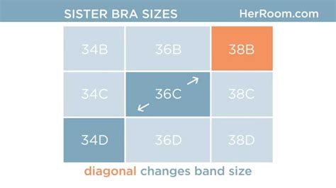 bra sister sizes do i have one bra size calculator