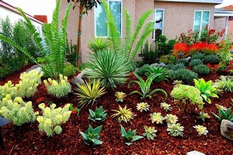 Drought Tolerant Landscaping Ideas How To Choose The Right Plants