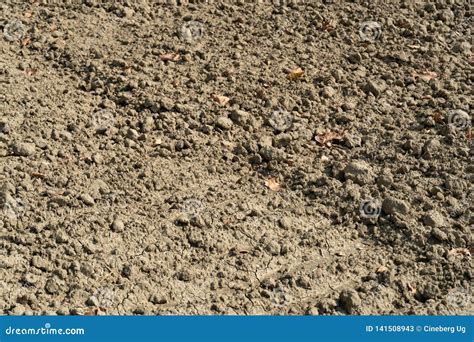 Barren And Drought Land Stock Image Image Of Clump 141508943