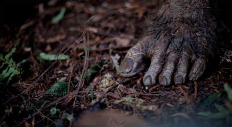 Primal rage belongs to the following categories: PRIMAL RAGE - New Official Trailer - Terrifying Bigfoot ...