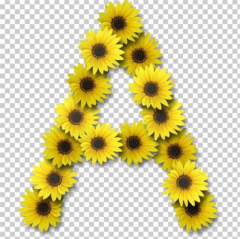 Common Sunflower Alphabet Lettering Png Clipart Alphabet Common