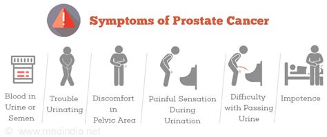 Signs Symptoms Of Aggressive Prostate Cancer Cancerwalls