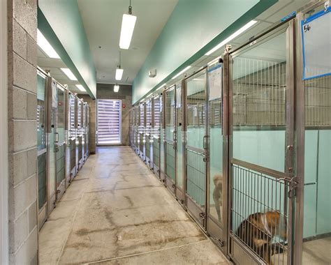 A Long Hallway With Several Cages On Both Sides And A Dog In The Middle