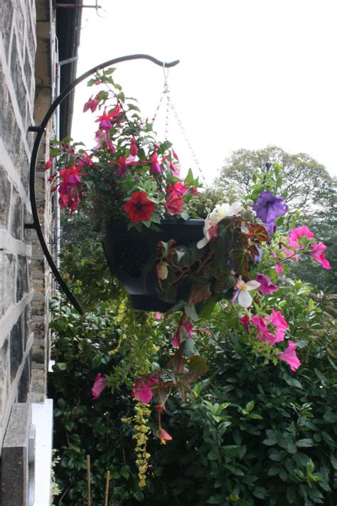 How To Plant Hanging Baskets Garden Features Ideas