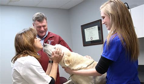 Texarkana community based outpatient clinic. Veterinarians and Animal Hospital in Texarkana, TX ...