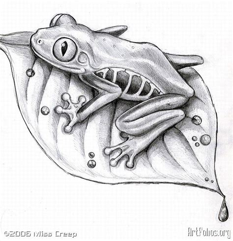 Simple Tree Frog Drawing Sandy Womack