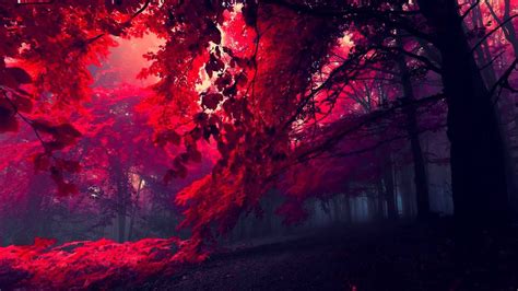 Collapsing Dream Chill Mix Red Forest 3840x2160 Wallpaper