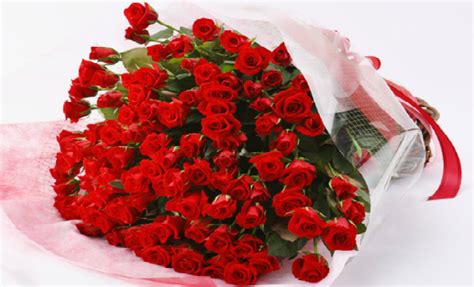 23,311 likes · 428 talking about this. Kwiaty na Dzień Zakochanych - Sto Lat