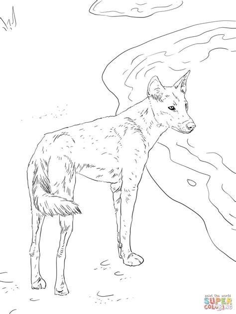 Dingo Coloring Page at GetColorings.com | Free printable colorings