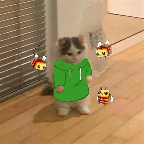 Tubbo Standing Cat Meme em 2022 Ícone de gato Gatos Fofinho