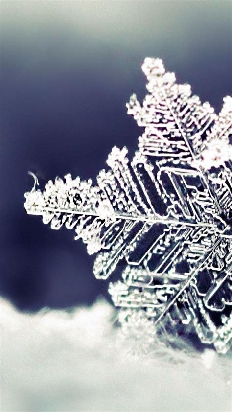 Beautiful Crystal Snowflake Macro Hd Wallpaper Wallpaper Download