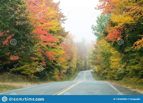 Fall Colors In North America Stock Image Image Of Leaf Countryside