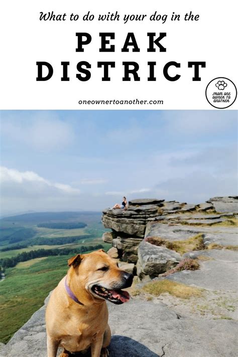 Dog Friendly Day Out In The Peak District Dog Friendly Holidays