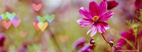 Cute Heart Flowers Facebook Covers For Timeline Facebook Cover