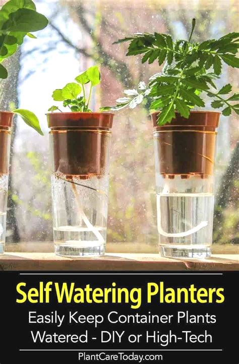 Pin By Amanda Martin On Gardening Self Watering Plants Self Watering