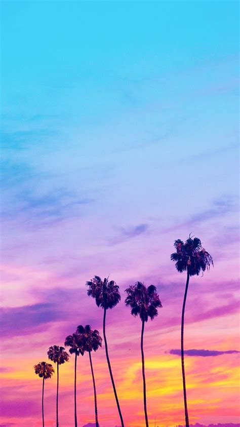 Find sunset clouds laptop wallpaper image, wallpaper and background. Matt Crump photography Pastel iPhone wallpaper beach sunset palm trees | Palm trees wallpaper ...