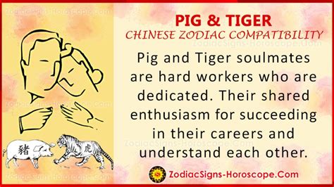 Pig And Tiger Compatibility Chinese Zodiac Traits And Love Compatibility