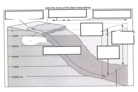 Label Ocean Zone Ch 3 4 Diagram Quizlet