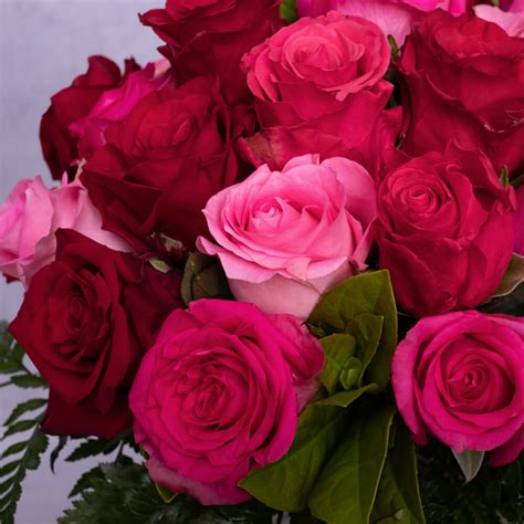 Hot Pink Roses Silentforce Photo 43307988 Fanpop