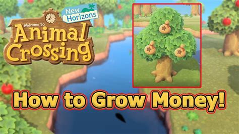 Mar 20, 2020 · animal crossing: How To Grow A Money Tree! - Animal Crossing: New Horizons Tips and Tricks - YouTube