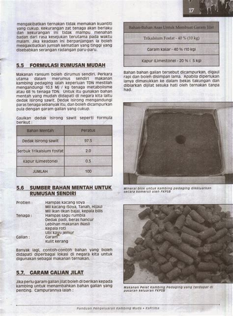 Belalang pelesit ya memang itu nama panggilannya tak tahulah jugak kenapa di gelar sebagai belalang pelesit. GREENISH FEEDING ENTERPRISE: SESI TEMUBUAL MARDI