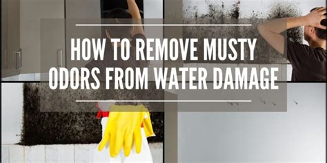 How To Get Rid Of Musty Smells From Water Damage Water Damage Lake