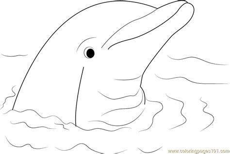 Cute Dolphin Coloring Page For Kids Free Dolphin Printable Coloring