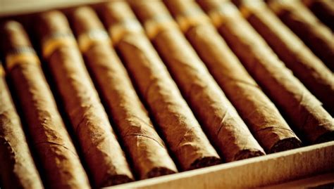 The Most Expensive Cigars In The World Discoverluxury