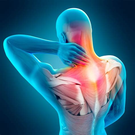 Muscle Joint Pain Muscle And Joint Physical Therapy Chicago