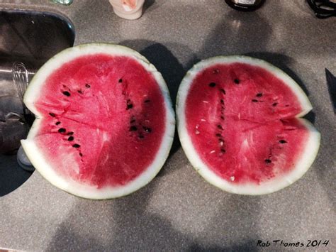 Our First Watermelon Of The Year 2014