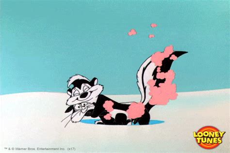 Pepelepew Love  By Looney Tunes Find And Share On Giphy