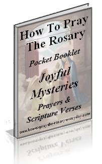On our children's rosary website we have a pdf which can be downloaded that explains how to pray the rosary. FREE Rosary Booklets to download