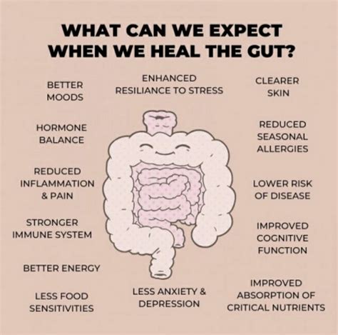 Gut Health Why It Matters And How To Improve It Aj Flanagan