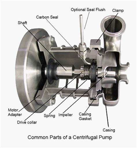 Pump Components And Seals Probrewer