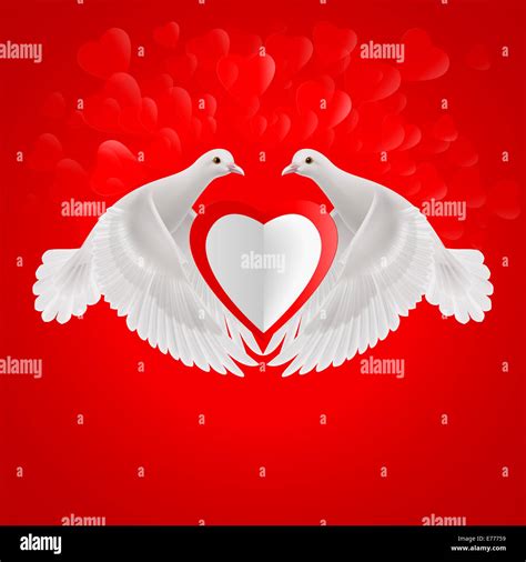 Two White Doves Holds White Heart In Wings Stock Photo Alamy