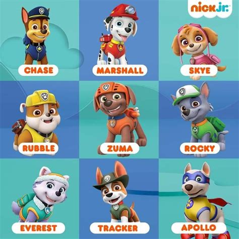 Paw Patrol Pups Names 2020 Pets Lovers