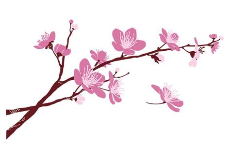 Cherry Blossom Border Free Clip Art Clipground