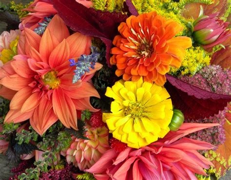 Autumn weddings· destination weddings new zealand· elopement weddings· heli weddings· queenstown weddings. Wedding Flowers from Springwell: Sun Coleus for Fall Weddings