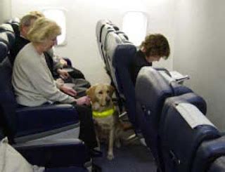 Before flying with your beloved pet, be sure to reference our guide on american airlines pet policy detailing restrictions and available accommodations. Alaska Airlines Introduces New Rules for Emotional Support ...
