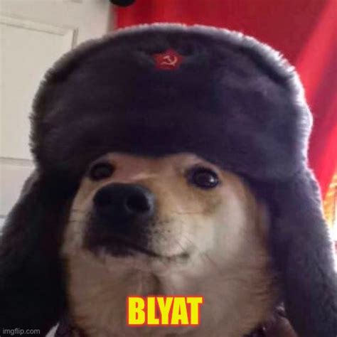 Image Tagged In Cyka Blyatfunny Memesmemesoh Wow Are You Actually