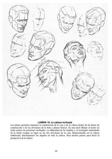 Loomis Dibujo De Cabeza Y Manos Version En Español Andrew Loomis