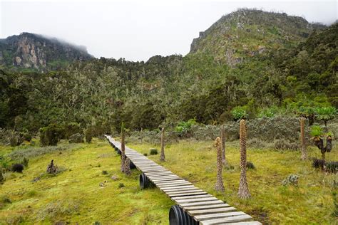Highlights Of The Rwenzori Mountains Jontynz Tales From Around The