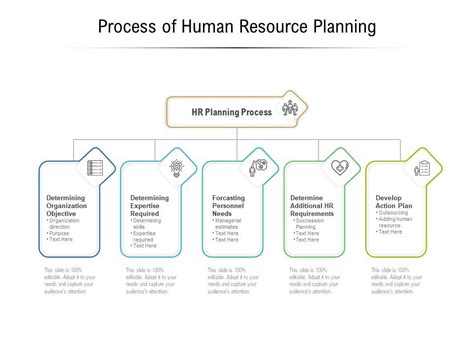 Process Of Human Resource Planning Powerpoint Slide Images Ppt