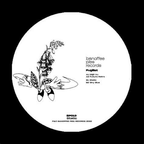 Stream Bp019 Pugilist Static 12 Clips By Banoffee Pies Records