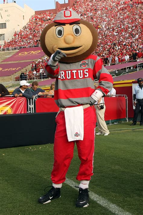 What Is A Buckeye 20 Pressing College Football Mascot Questions