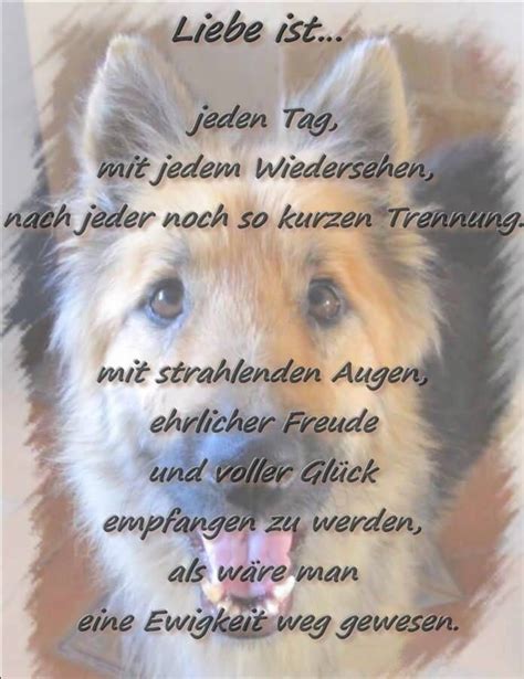 Showing posts with label hundesprüche sprüche hund mensch beziehung. Inspiration Sprüche Hund Mensch Beziehung - Sammlung deutscher weiser Sprüche und Worte