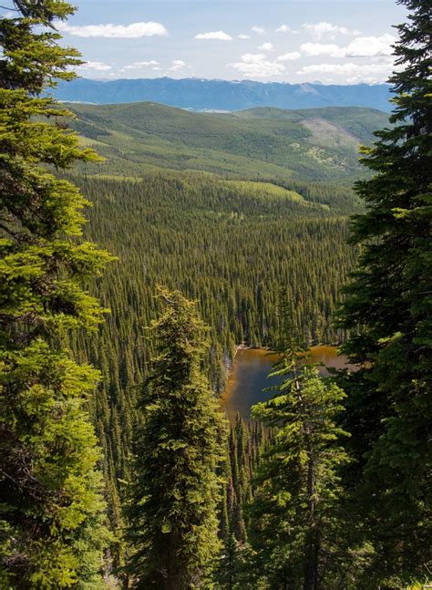 Pacific Northwest Trail Above Boulder Lake Kootenai National Forest