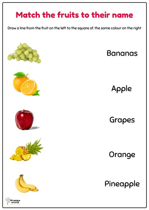 Match The Fruits To Their Name Fruits Worksheet