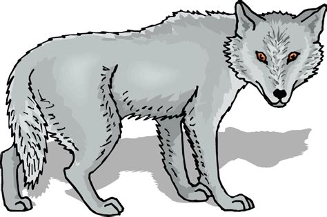Gray Wolf Clip Art Animal Wolf Ferocious Png Download 616659